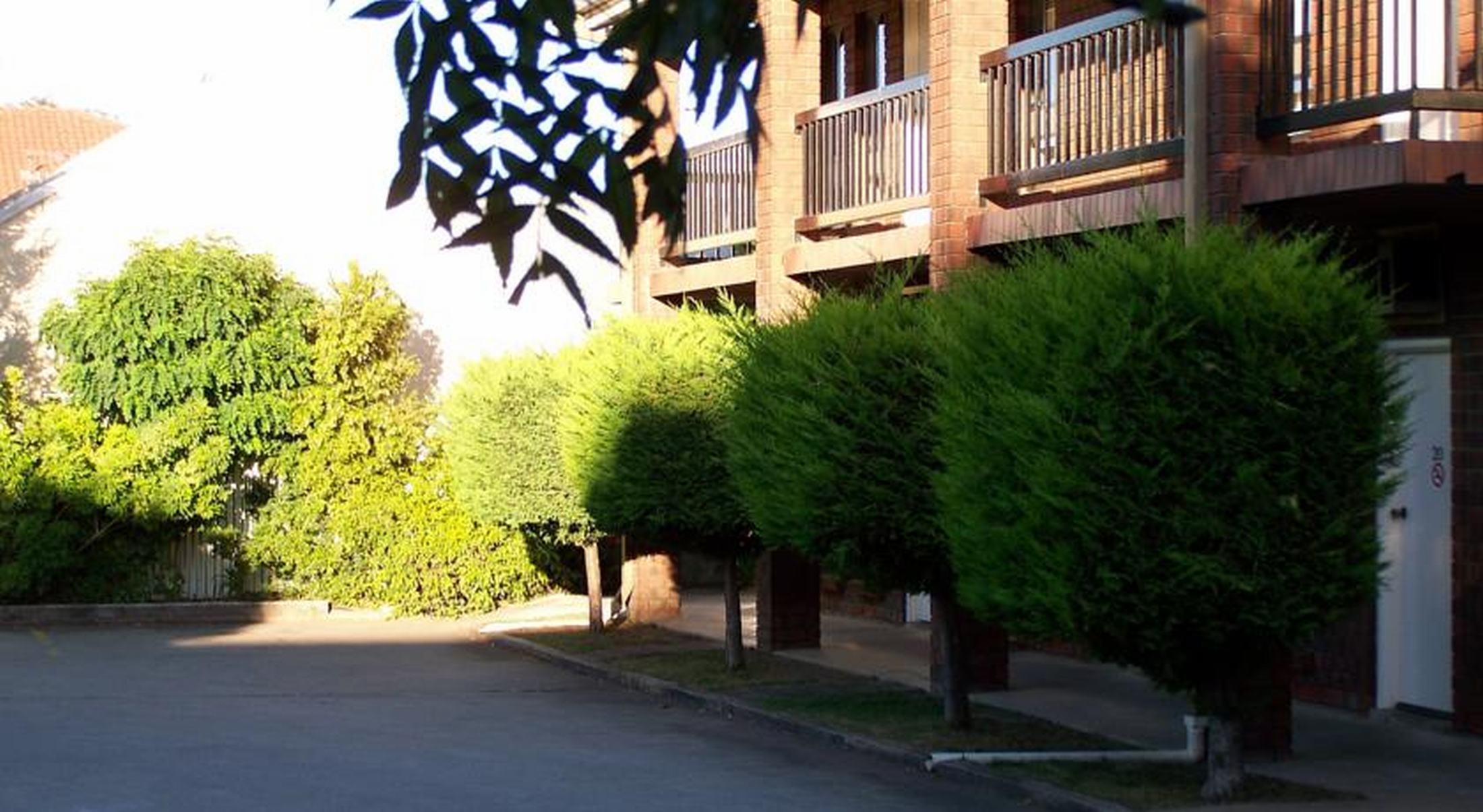 Comfort Inn & Suites Sombrero Adelajda Zewnętrze zdjęcie
